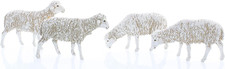 4 Pecore Assortite per Presepe