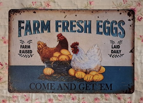 Insegna pollo uova fresche - uova,
