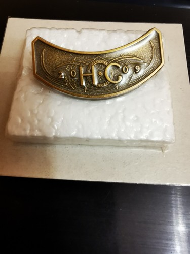 Harley davidson spilla pin hog - spilla,