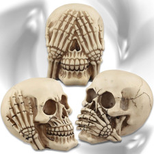 Teschi Decorativi XL ''Non