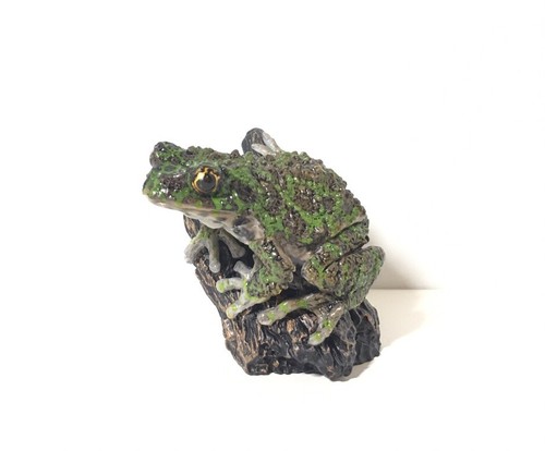 Modellino rana isikawa - rana,