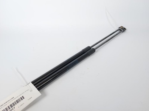 7318896 pistoncini portellone - 7318896,