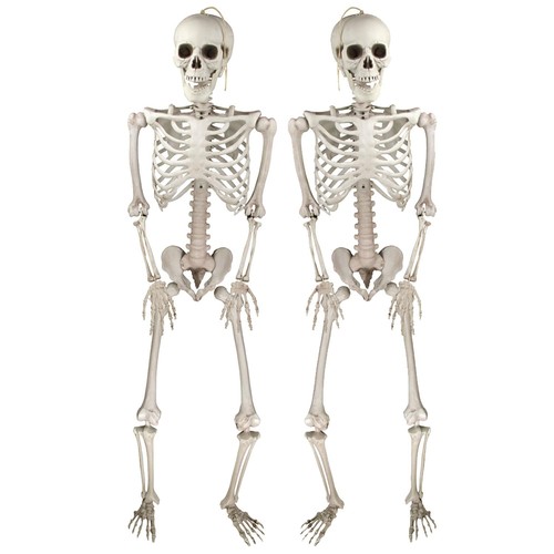 Decorazioni halloween - decorazioni,