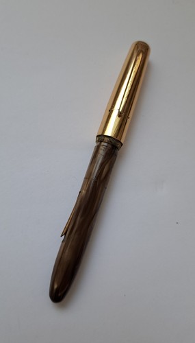 Penna stilografica platignum - penna,