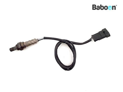 Sonda lambda ducati - ducati, r