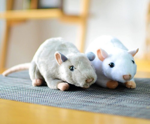 Peluche pupazzo - , 2