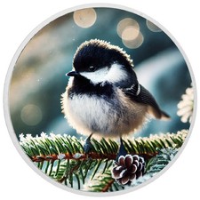 Pini congelati: A Chickadee's