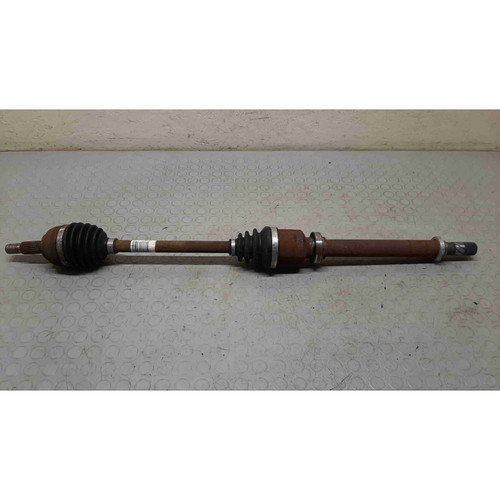8201055673 semialbero ant - 8201055673,