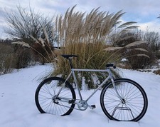 Bicicletta Custom Single Speed