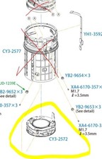 Canon RF 70-200mm F/2.8 L IS