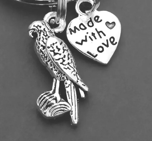 Gorgeous little parrot - gorgeous, keyring