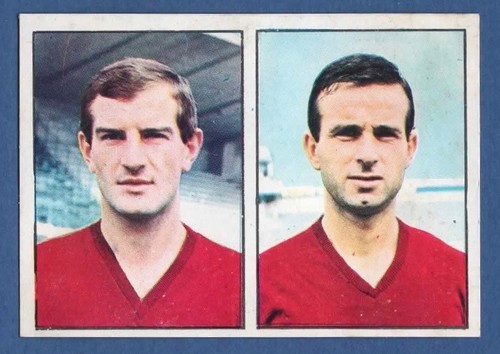 Figurina calciatori panini - figurina,