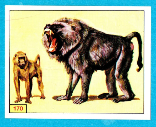 DINOSAURS/ANIMALI