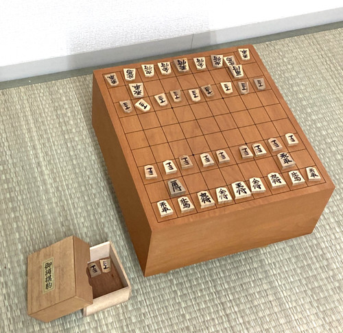 Scacchi shogi giapponesi - scacchi,
