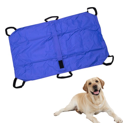 Barella per cani grossa - cani,