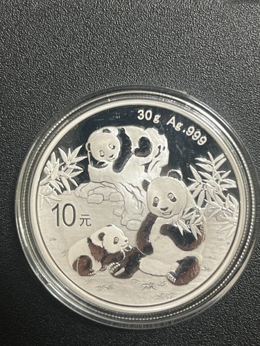 Oncia 2025 cina panda argento - panda,