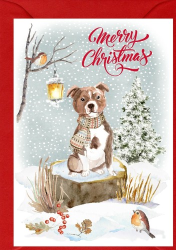Biglietto natale - biglietto, di