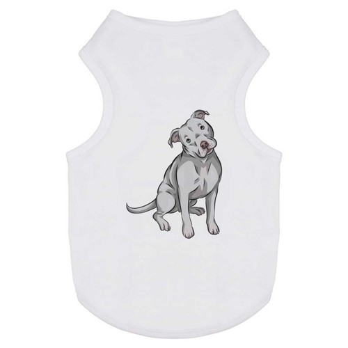 American pitbull terrier - 'american,