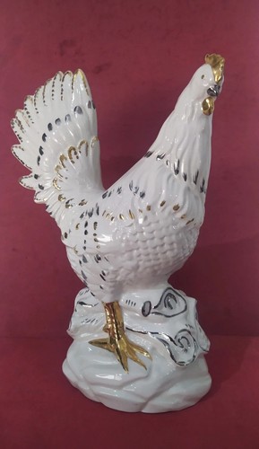 Gallina in - gallina, gallo