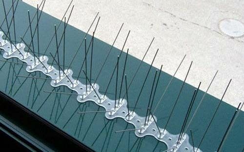 Dissuasori spilli inox - dissuasori,
