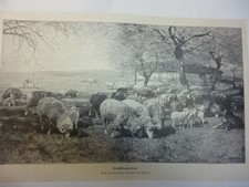 Orig. Incisione su legno -