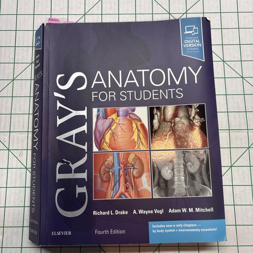 Gray anatomy ser - anatomy, gray's