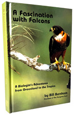 A Fascination with Falcons