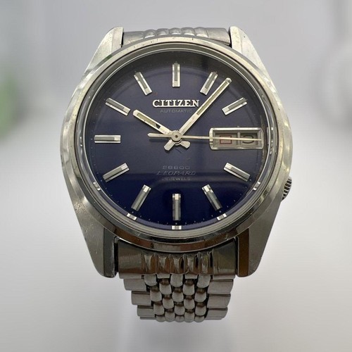 Orologio citizen leopard 15700 - orologio,
