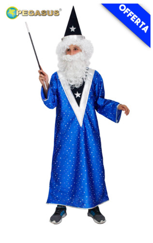 Costume carnevale mago merlino - costume,