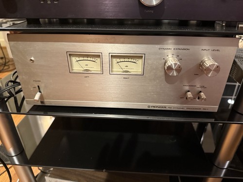Processore dinamico pioneer - processore,