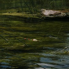 5 Pcs Accessori Per La Pesca