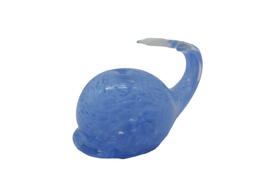 Pesce tropicale vetro - pesce,
