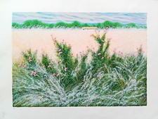 Franco azzinari 80x60 - cm,