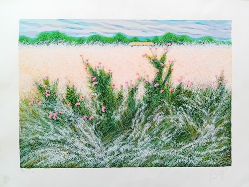 Franco azzinari 80x60 - azzinari, cm