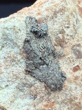 PLATA NATIVA - San Matilde