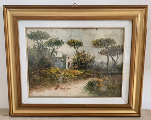 Quadro olio tela paesaggio - quadro,