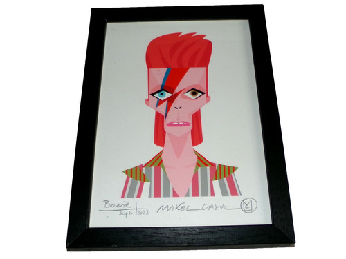 Piccola stampa david bowie - david,
