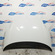 Cofano anteriore bianco Fiat Punto Evo 2012 ecoAC10940