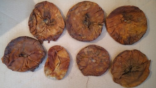 Lotto sacchetti porta - sacchetti,