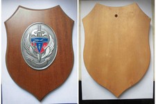 CREST PARACADUTISTI 183°