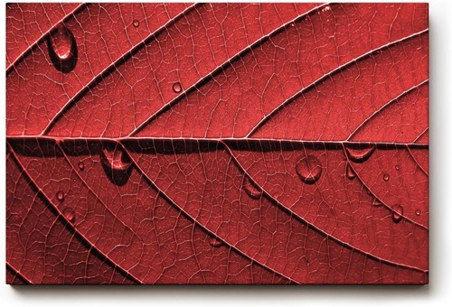 Quadro sinus art motivo - quadro,