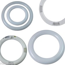 NEON LED TONDO CIRCOLARE LED