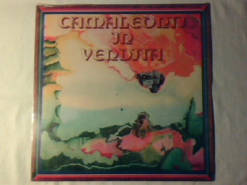 Camaleonti vendita lp - camaleonti,