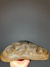 Cina pietra naturale pietra di