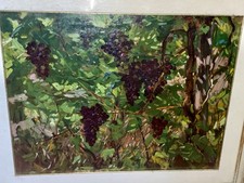 Paulo Ghiglia Grappoli Di Uva