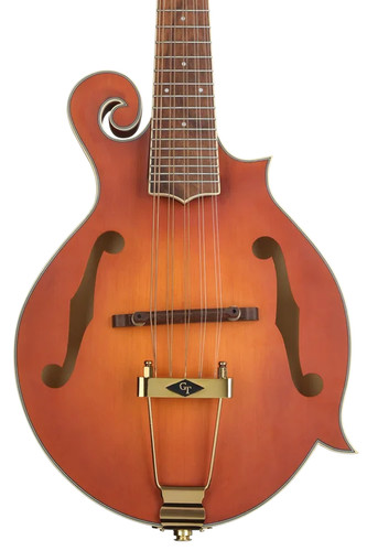 Mandolino elettrico