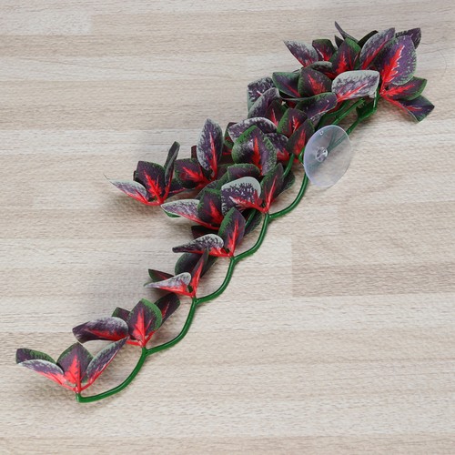 Accessori per acquario - ,