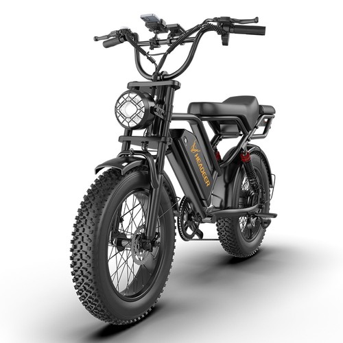 Fat tire bike - 48v, 20ah
