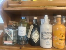 Bottiglie gin vuote - bottiglie,