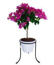 FIORIERA PORTAVASI PORTAVASO POMPEI IN FERRO BATTUTO